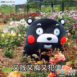  我是你的二锅头下一句全套表情图片有人说自己是酸菜鱼土豆丝表白表情包下载乐游网游戏下载