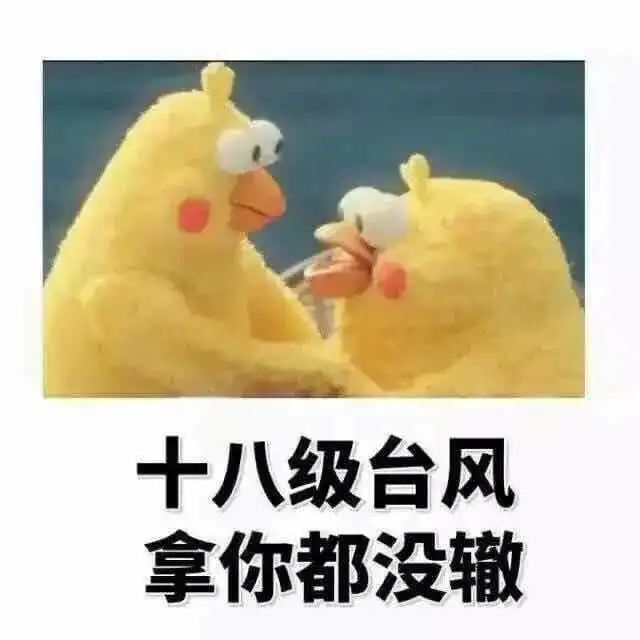  你也曾被考证套路过吗