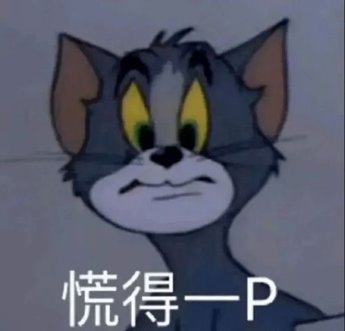  搞笑表情包丨慌得一p