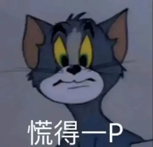  搞笑表情包丨慌得一p