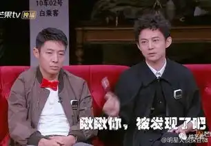  没上成春晚没去成老母鸡,撒贝宁去哪儿了