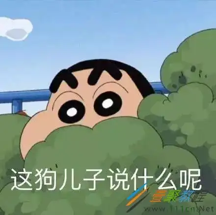  抖音蜡笔小新头像表情包有哪些蜡笔小新头像表情包分享