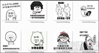  最近更新软件订阅jz5u绿色下载站