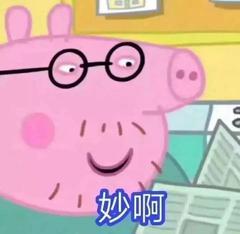  包大人的小包子的地宝