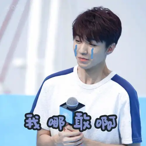 王俊凯动画表情包大全
