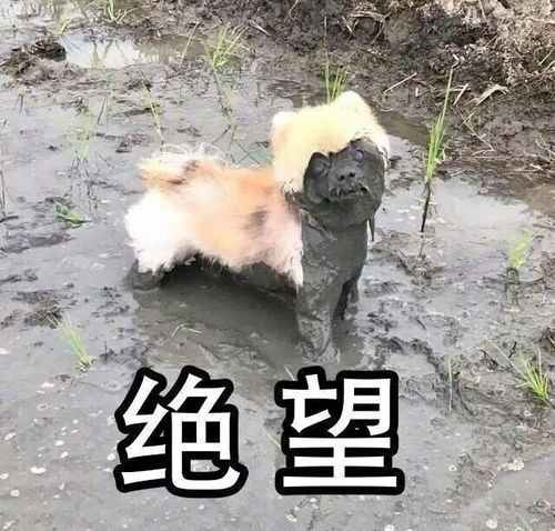  流浪地球商标已流浪