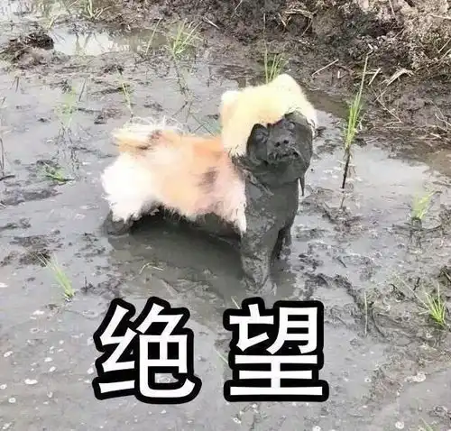  流浪地球商标已流浪