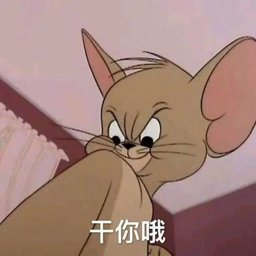  表情包精选我真的回你消息了啊