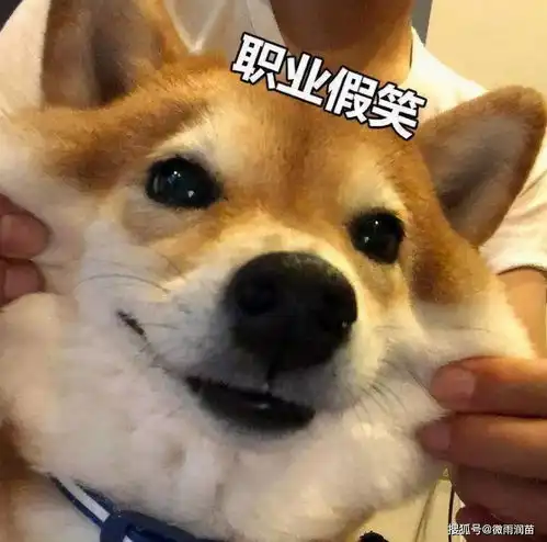  想要做到教育均衡,乡村学校就应该是优秀教师的归宿,而不是跳板
