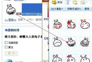  求这个兔子表情包