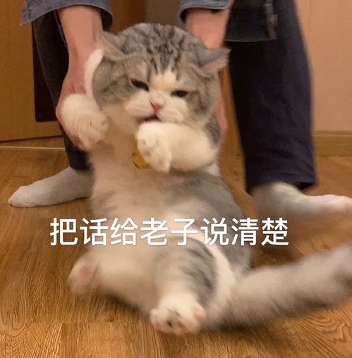  刚刚看了十年一品温如言,我有点崩溃
