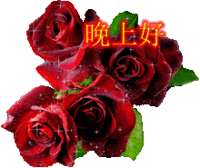 适合睡前群发晚上好问候表情包温馨晚安问候语简短一句话  适合睡前群发晚上好问候表情包温馨晚安问候语简短一句话