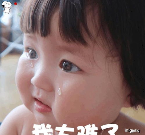 爱你们的表情包图片可爱