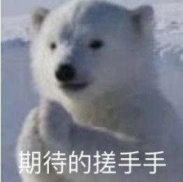  小岳岳成预言家甄子丹吴京对打似表情包,春晚的梗你懂了吗