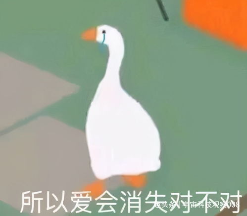 爱会消失吗表情包猖狂