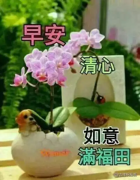  生活总有很多意外,迈不过就是坎,迈过去了,什么都不是早安人生