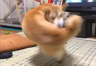  对不起是我拖后腿了