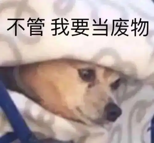  抖音表情包
