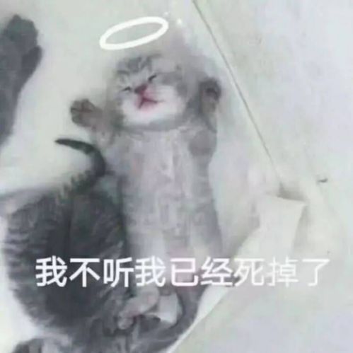  谈恋爱走心不走脑的几大星座