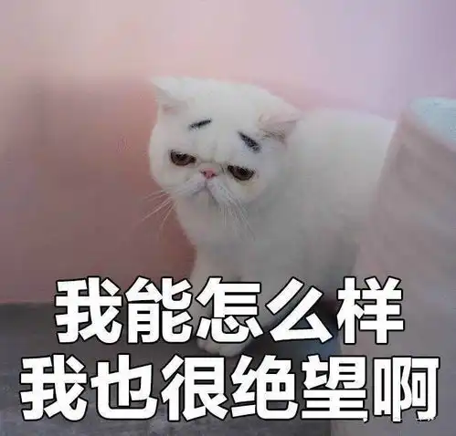  我忍吗还是算了吧每天凌晨4点被室友吓醒,我走火入魔最后搬家了小区