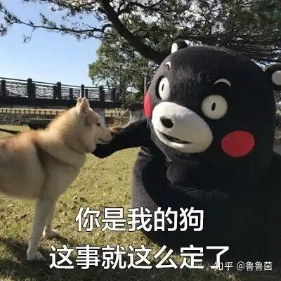 撩妹萌萌表情包安迪