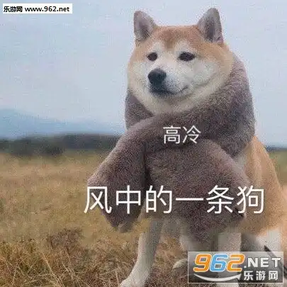  六只猪的凝视图片表情包静静看戏表情包下载乐游网游戏下载