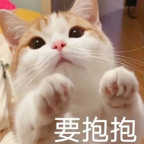  表情包六一可以用的表情包