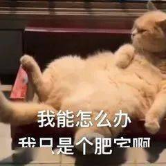  今日份搞笑表情包请接收哈哈哈...