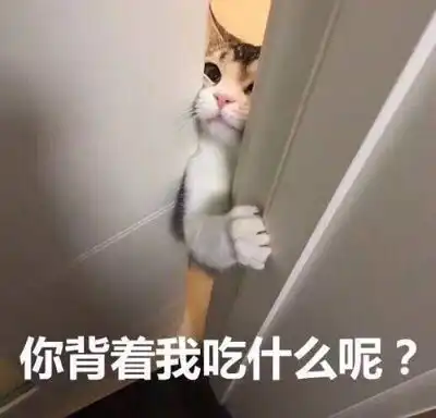  这些喵被做成了表情包