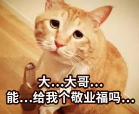  集五福表情包