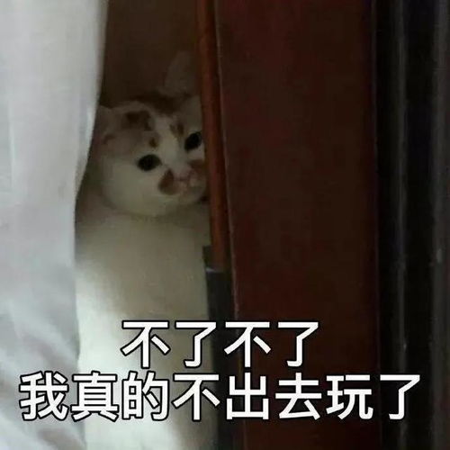  表情包趁我还在微笑赶紧把你的批话收回