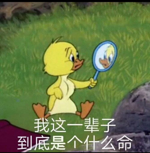 被绿表情包沙雕版文案