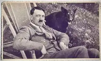  干得好就是秦始皇,干不好就是希特勒希特勒不为人知的五大怪癖