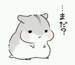  这个仓鼠表情包叫什么