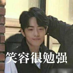  肖战高清无水印表情包笑容很勉强