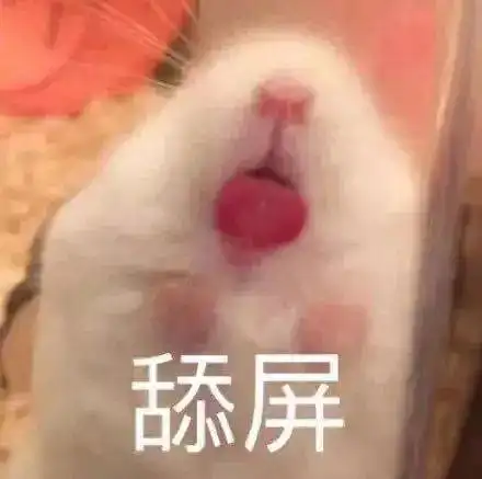  热门沙雕表情包