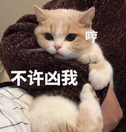  我结婚不到半年然后我提出离婚男方要我把彩礼钱全部退还,我需要退么