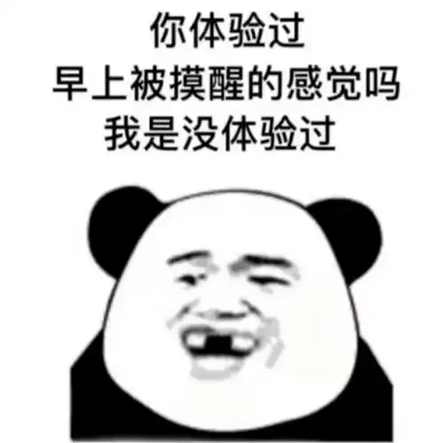  熊猫头表情包i我不敢谈恋爱