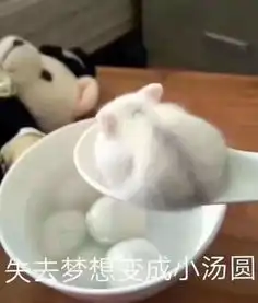  辣的脆的肉的麻将的,奇葩口味的网红汤圆都藏在成都这些神店里