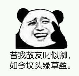  撕逼大战专用表情包,贱兮兮的没sei了