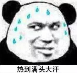  熊猫头天气热表情包这鬼天气到底要对我这只小熊猫做什么啊