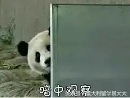  我的男模,为了你们也要好好学意大利语