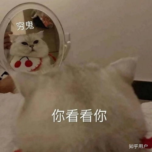 一把年纪可爱表情包我就