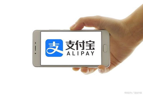  支付宝下调部分用户花呗额度,你被调整了吗