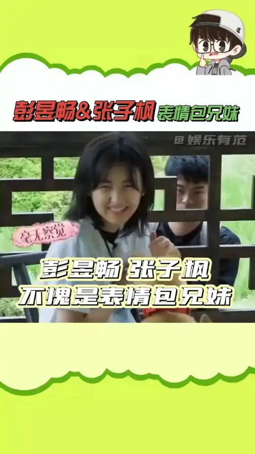太皮了吧表情包同步