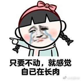  形容胖子的表情包