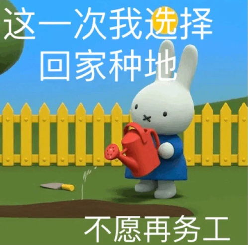  最近qq超火的米菲兔表情包,这也太可爱了吧