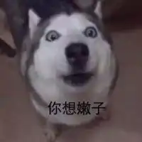  进群一年哈士奇表情包微信头像图片大全