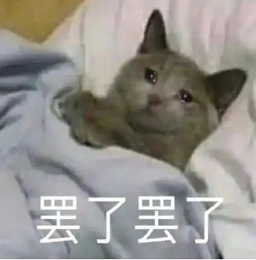  99的北美留学生都经历过的至暗时刻机场过夜,被教授背刺......
