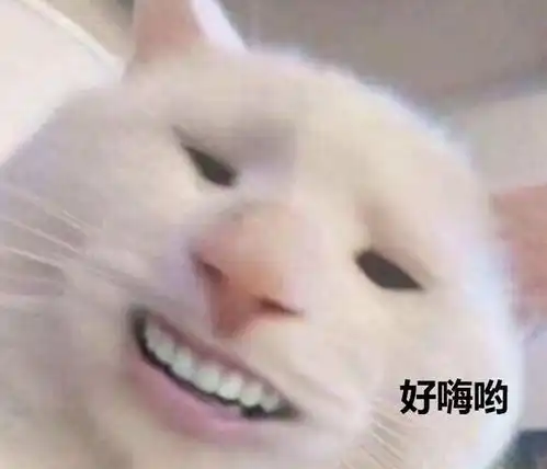 民营运营商39元100g超大流量,补贴还是套路,亲测揭露真相 民营运营商39元100g超大流量,补贴还是套路,亲测揭露真相